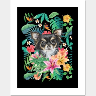 Tropical Long Haired Black Tricolor Chihuahua Posters and Art